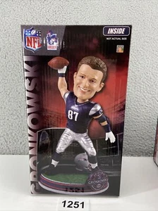 Rob Gronkowski New England Patriots The Field NFL Edición Limitada Foco Bobblehea - Imagen 1 de 15