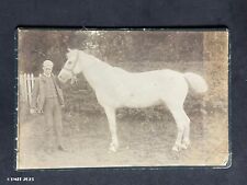 Cabinet Card White Horse & Boy Antique Victorian Fashion Photo