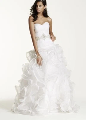 David's Bridal Galina Signature 8 Petite White Organza Bridal Gown Wedding Dress - Image 1 of 4