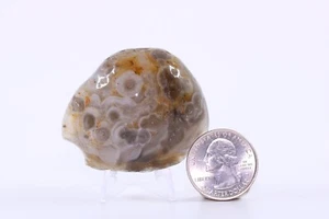 Enhydro Fluid Inclusion Quartz Agate Sloshing Water Inside VIDEO Brazil COA 4901 - Picture 1 of 5