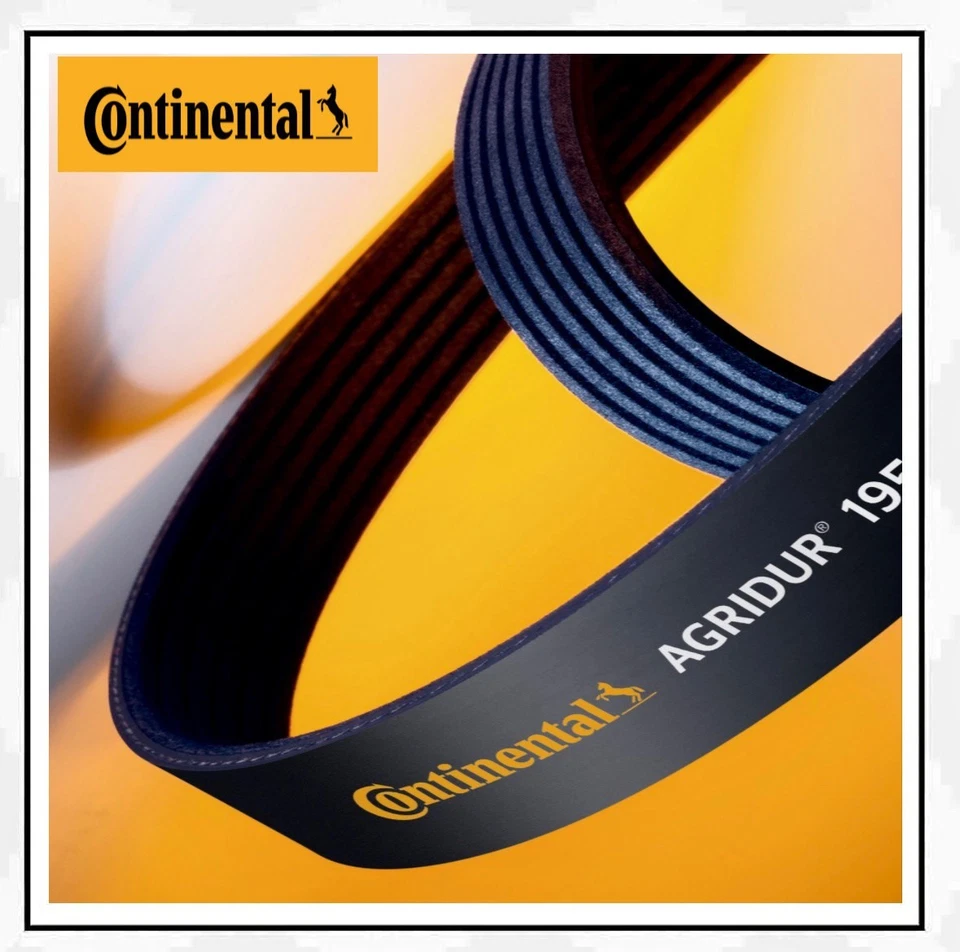 CONTINENTAL CTAM 5PK1715 Keilrippenriemen + Rolle für Mercedes W168 W414 Vaneo - Bild 1 von 3