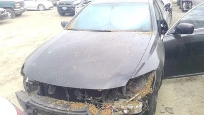 Pantalla de infoentretenimiento usada se adapta a: pantalla Lexus GS300 2006 con navegación grado A Foto 1 de 4