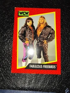 Impel WCW 1991 - Michael Hayes, Jimmy Garvin, Fabulous Freebirds #128 (RC) - Imagen 1 de 2