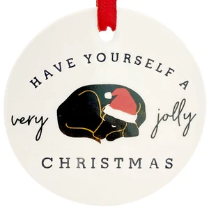 Addobbo Labrador Retriever Nero Dormire Decorazione Natalizia Festività - Foto 1 di 5