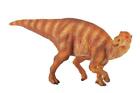 CollectA Prehistoric Life Muttaburrasaurus Dinosaur #88339 Realistic Figure Toy