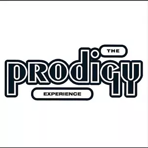 The Prodigy Experience Records & LPs New - Picture 1 of 1