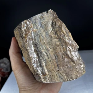 570GR Tronco Naturale Ambra Grezzo Parzialmente Lucido Sumatra - Foto 1 di 20