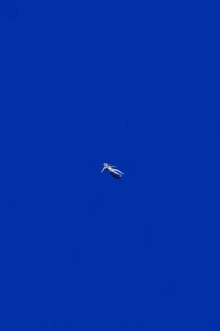 No stress by Maarten Leon Giclee Art Print on Paper or Canvas Ships Free - Picture 1 of 3