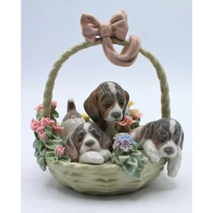 Lladr� 1441 | A Litter of Love | Please Read - Picture 1 of 4