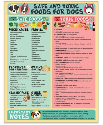 Safe & Toxic Foods for Dogs Magnet 8.5x11 – Pet Safety Chart, Waterproof Guide - Image 1 of 4