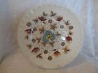 One Vintage WH Grindley Old Chelsea Staffordshire England 10&quot; Dinner Plate