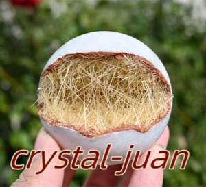 65mm Needle Ironstone Ball quartz Crystal Mineral Specimen Heal Gift Yellow - Picture 1 of 11