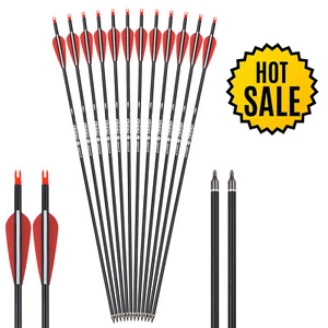 12Pcs Archery Carbon Hunting Target Arrows 28" SP500 For Compound/Recurve Bow US - Picture 1 of 7