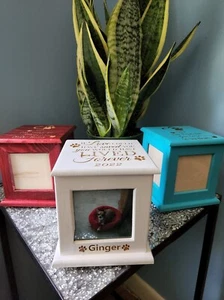 Pet Urn Memorial Katze Hund Andenken personalisiert | 3 Farboptionen - Bild 1 von 10