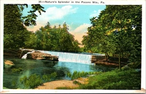 Postcard Nature's Splendor Pocono Mountains Pennsylvania PA - Picture 1 of 2