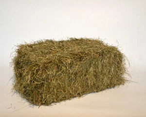16 kg 2. Schnitt Wiesenheu | Heuballen Futter Heu Ballen Kaninchen Hamster Pferd - Bild 1 von 7