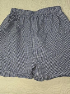 Southern Sunshine Kids boys sz. 6 blue & white checkered shorts. Classic, cute - Picture 1 of 7