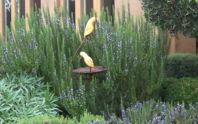 Organic Rosemary 'Tuscan Blue' Live Starter Plant - FREE SHIPPING!!! - Image 1 of 3