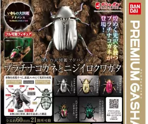 The Diversity of Life on Earth Chrysina Optima Rainbow Stag Beetle Figure Bandai - Picture 1 of 21