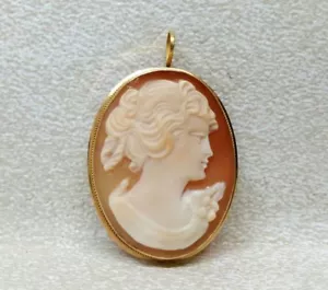 Broche Colgante Camafeo Antiguo Oro Amarillo 18k y Coral Natural - Imagen 1 de 7