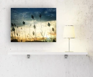 Blooming Cattails Willows Silhouette Sunset Beige Gold Blue Abstract Art Photo - Picture 1 of 5