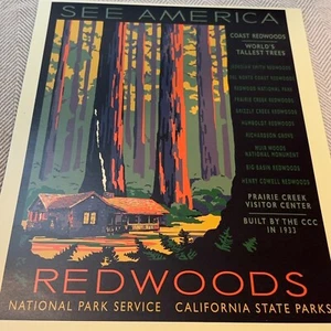 WPA Redwoods National Park Druck 7x10 Kalifornien weltweit höchste Bäume Muir Woods - Bild 1 von 8