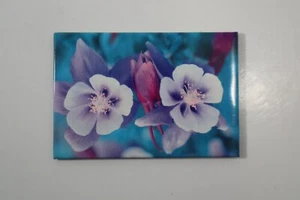 MAGNETE RIPETITORE D3 Columbine - Foto 1 di 2