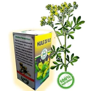 straßenöl 30ml Ruta graveolens - Bild 1 von 1