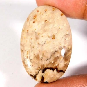 Indonesia PALMA ÁGATA 100% NATURAL Cabujón Ovalado 32.40Cts. Piedras preciosas sueltas - Imagen 1 de 3