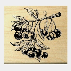Sello de goma cerezas P6 - Imagen 1 de 3