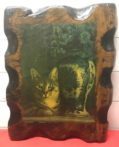 Vintage Katzenfoto auf rustikalem Scheunenholz 14 1/2” x 18 1/2” - Bild 1 von 2