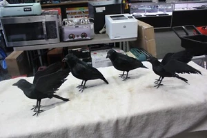 4PCS Halloween Crow Prop Large Realistic Raven Feathered Spooky Party Home Decor - Picture 1 of 7
