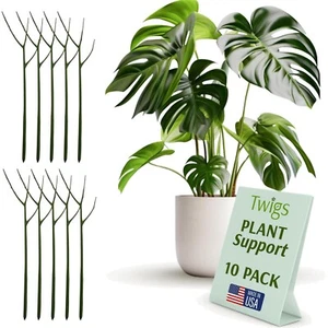 Eco-Friendly 10-Pack Plant Support Stakes - 22'' Dark Green Garden Accessories - Picture 1 of 8