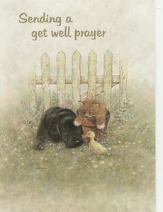 GET WELL CARD & ENVELOPE: KITTEN, PUPPY & DUCK - BY HEARTLAND, 1 PETER 5:7
