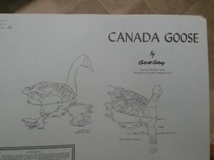 Gene Gray Limited Edition Hand Signed Print “Canada Goose” Artist Proof 15/100 - Picture 1 of 5
