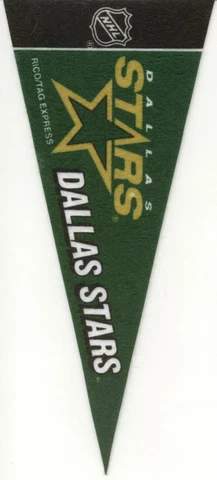 DALLAS STARS MINI NHL FELT PENNANT 9" LONG OFFICIALLY LICENSED HOCKEY Cover