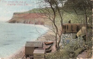 (ai53) View across the foot of Shanklin Chine - Isle of Wight Postcard - Picture 1 of 2