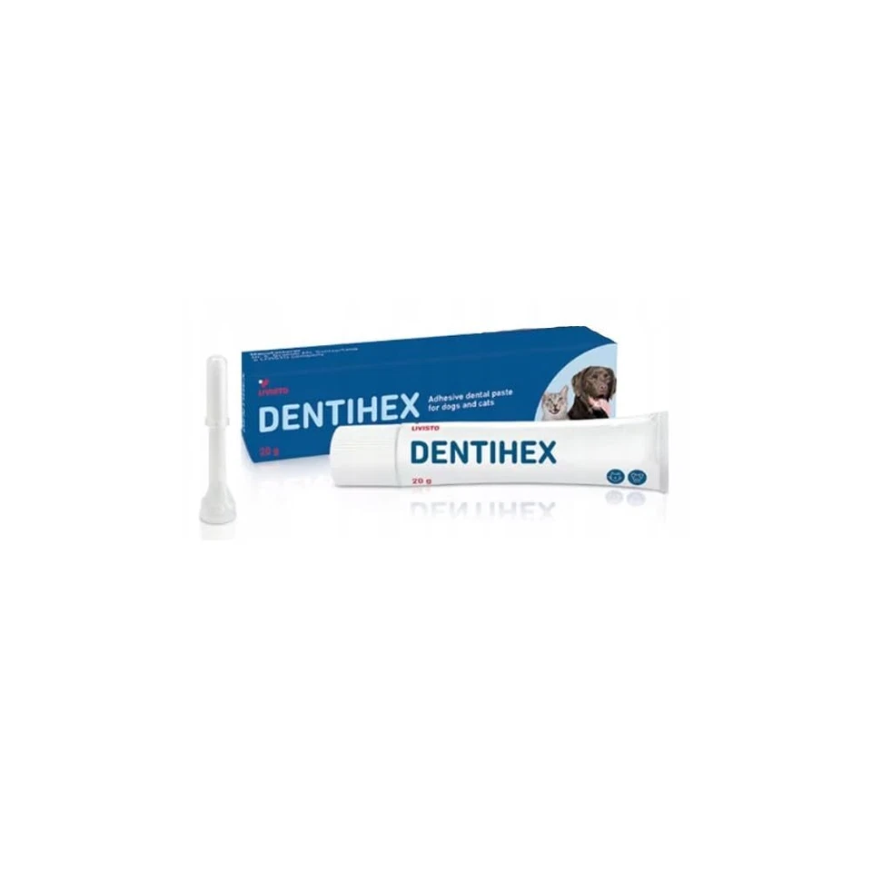 Dentihex Dentisept Cat Dog Toothpaste Adhesive Sticky Dental Oral Paste 20g Tube - Image 1 of 1