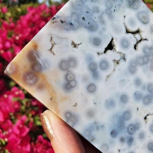 Ocean Jasper Old Stock Kambaby Agate Orbicular Freeform Display Tile 264 grams - Picture 1 of 10