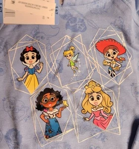 Disney 100 Small 6/7 Princess 2pc Activewear Set. Hooded Sweatshirt/leggings. BN - Picture 1 of 3