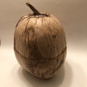 Decorative Natural Malaysian Whole Coconut Storage Container Bowl - Picture 1 of 7