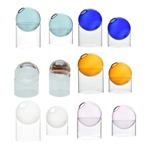 Transparent Spheroidal Glass Vase Room Decorations Plant Hydroponic Bottle - Foto 1 di 20