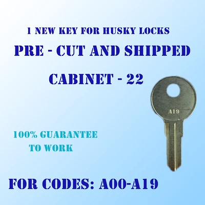 A00-A19 Replacement key for HUSKY Home Depot tool boxes cut to code by Locksmith