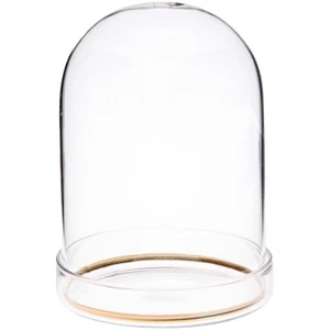 Plymor 3" x 4" Glass Display Dome Cloche with Gold Rim (Clear Glass Tray Base) - Picture 1 of 1