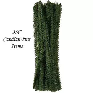 20 tallos de pino canadiense con cable - perfectos para hacer árboles de plumas - 12" L x 3/4" W - Imagen 1 de 2