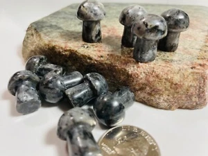 1X Spectrolite Carved Mushroom 20mm Reiki Healing Crystal Meditation Transforms - Picture 1 of 3