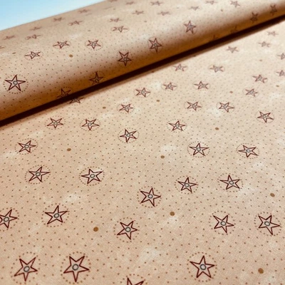 Star Fabric: Democracy 17243 by Sandy Gervais for Moda 69" L x 45" W 100% Cotton - Image 1 of 4