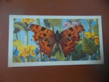 Great Britain Brooke Bond original 1963 tea card "British Butterflies",  No.25. 