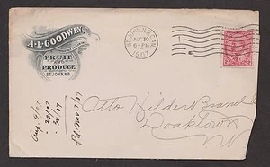 1907 2c Edward. St. John, N.B. machine.  From: A.L. Goodwin, Fruit & Produce - Bild 1 von 2