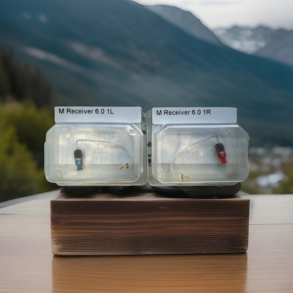 PAR de Receptor Phonak M 6.0 1L y 1 R Compatible con Infinio y Esfera Solo ~ Foto 1 de 1